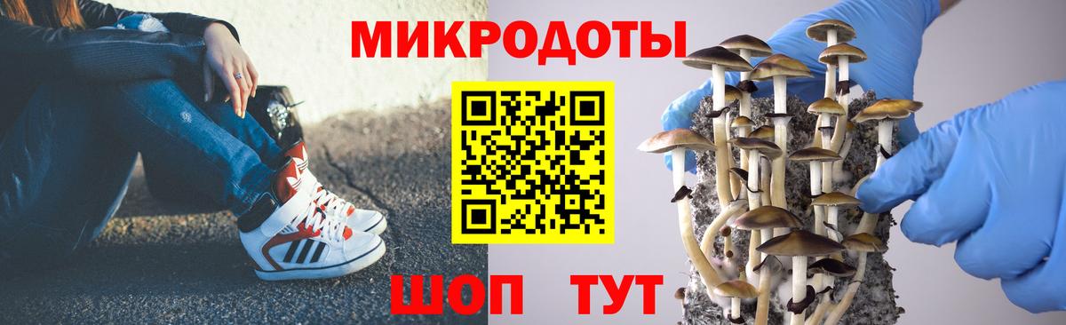 Галлюциногенные грибы Psilocybine cubensis  Вход с VPN  Волжск  Галлюциногенные грибы Psilocybine cubensis 